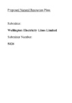 S126 Wellington Electricity Lines Limited preview