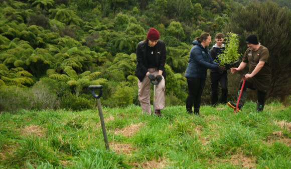 Four GW staff members at a planting day, digging holes and planting seedlings