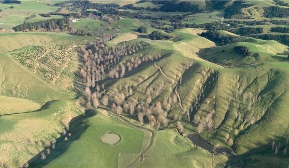Aerial view of a farm and paddock with erosion control planting