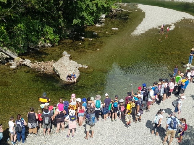 A crowd clusters on the edge of a stream