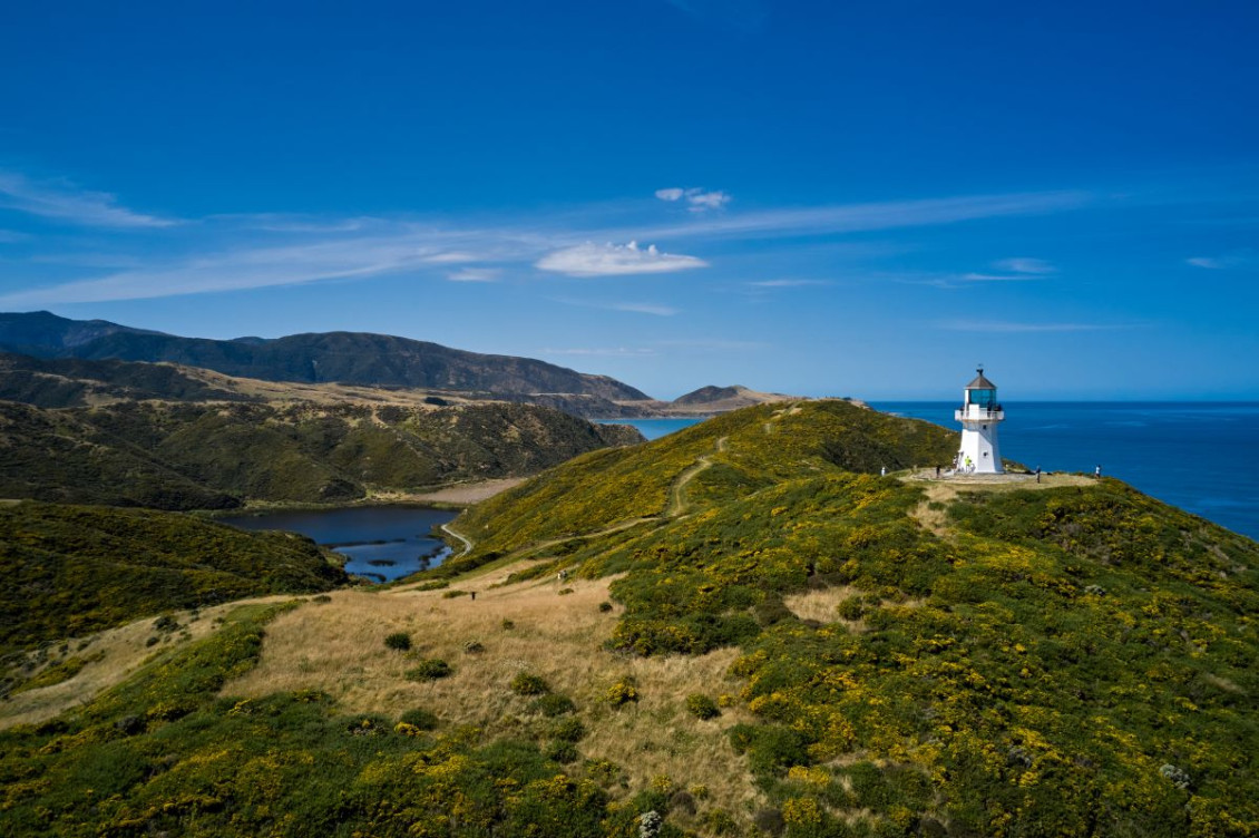 Pencarrow lake and lighthouse