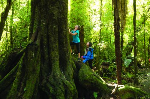 resizedimage500332 kaitoke treasure hunt