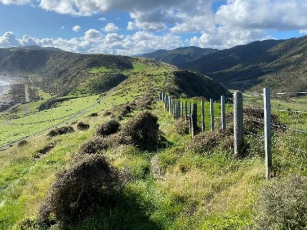 View along the ridge at Bearing Head