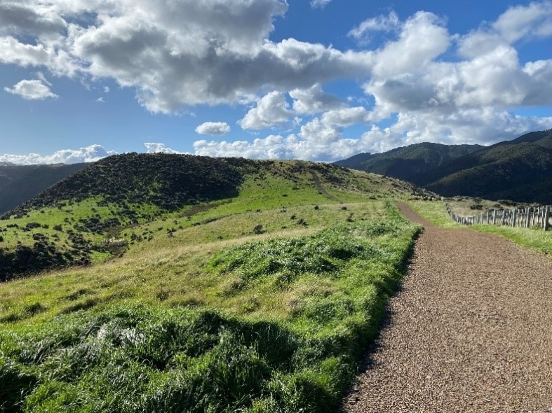 A fire break track at Baring Head/Orua-pouanui