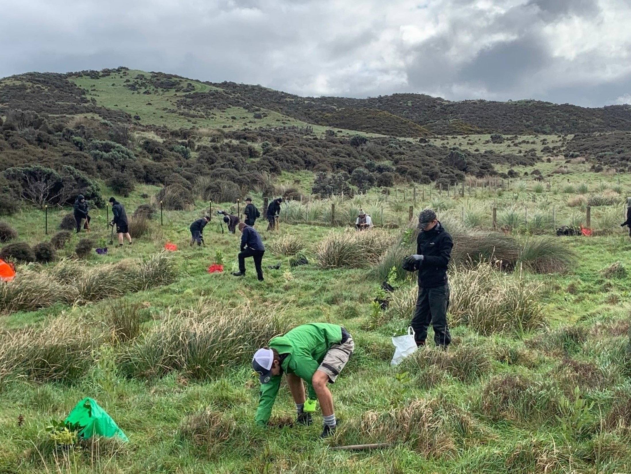 People plant seedlings in a field in EHRP