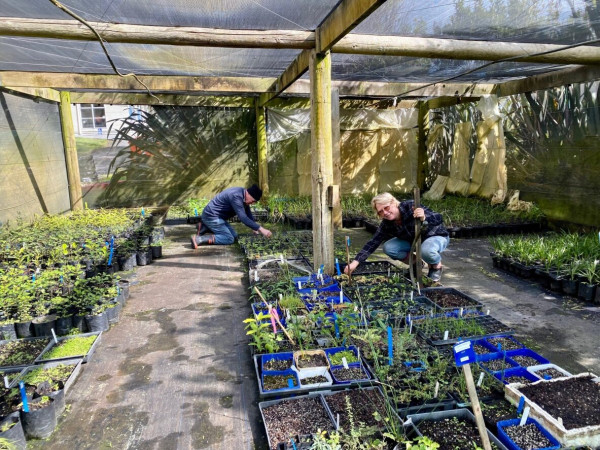 Nursery group member Russell and Penny Bell