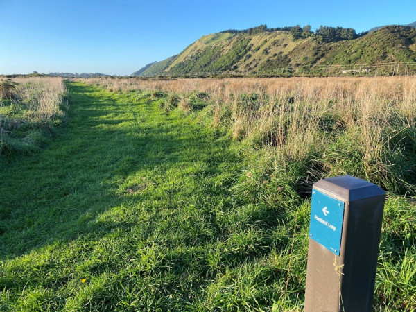 Bollard indicating the Peatland Track in QEP