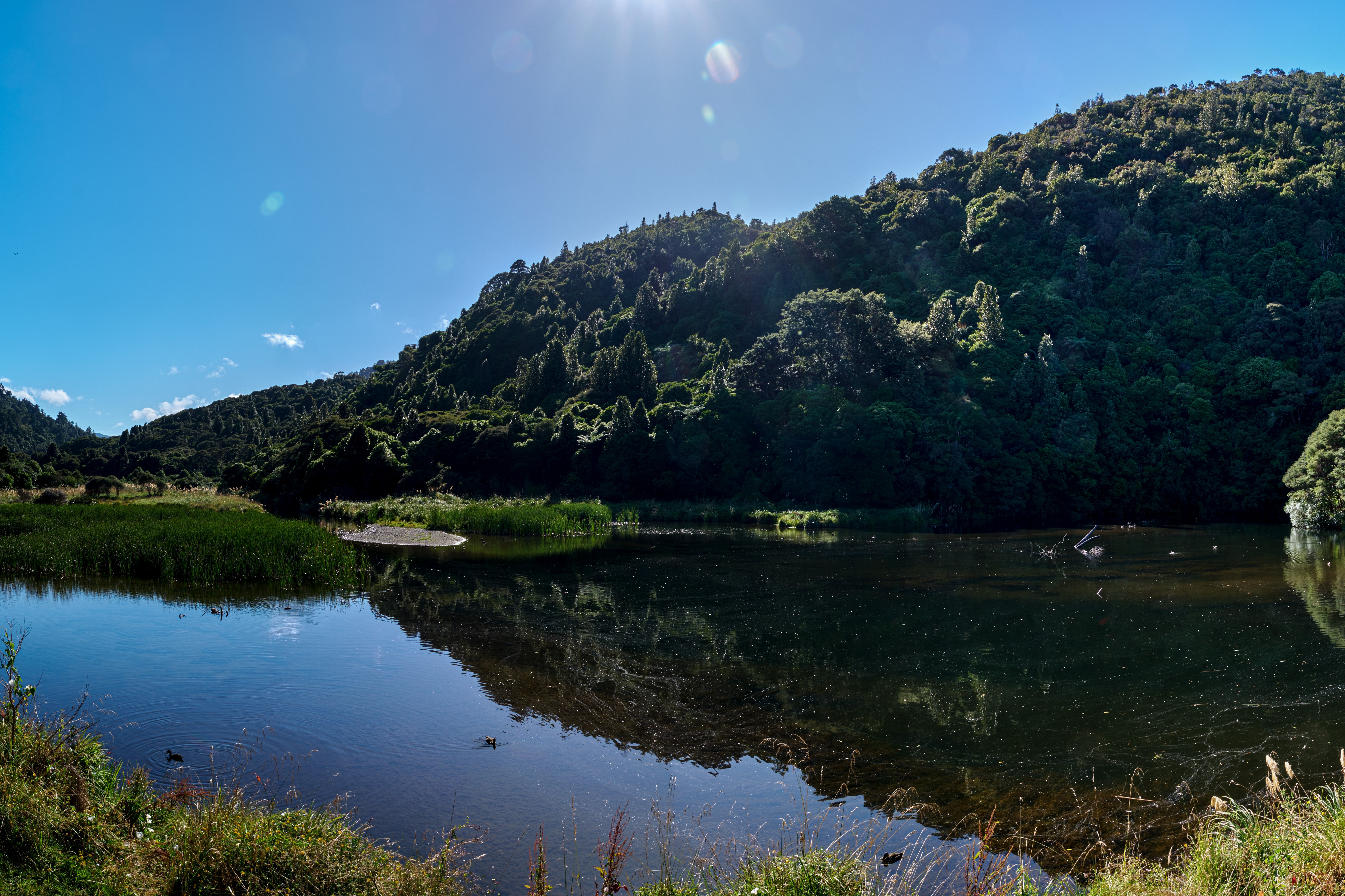 A view across the water at Wainuiomata Regional Park