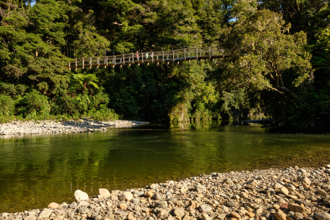 Kaitoke 2022 DSCF7962