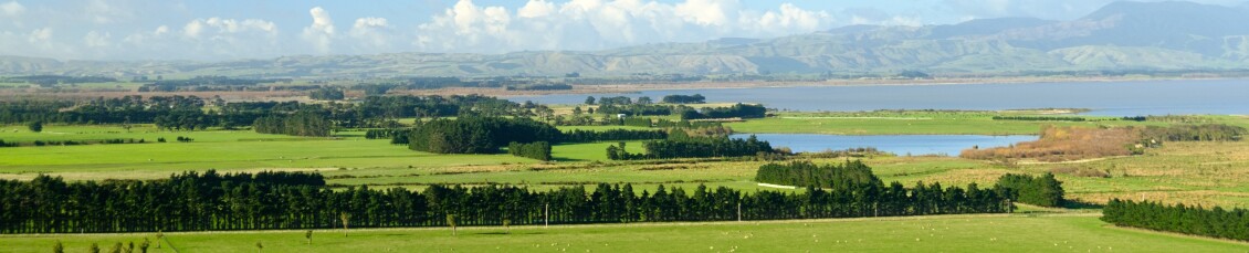 Natural Resource Plan - Webpage Banner