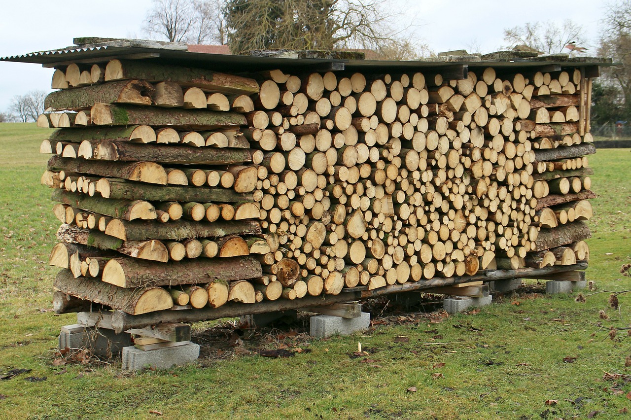 Split wood stacked loosely and raised up from the ground