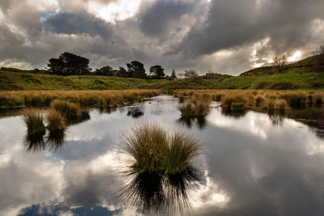 QEP wetland 1