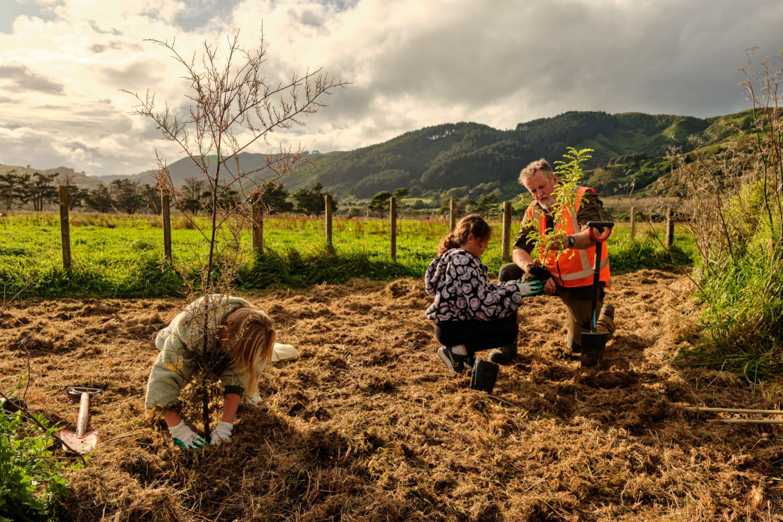 2 Queen Elizabeth Park school planting