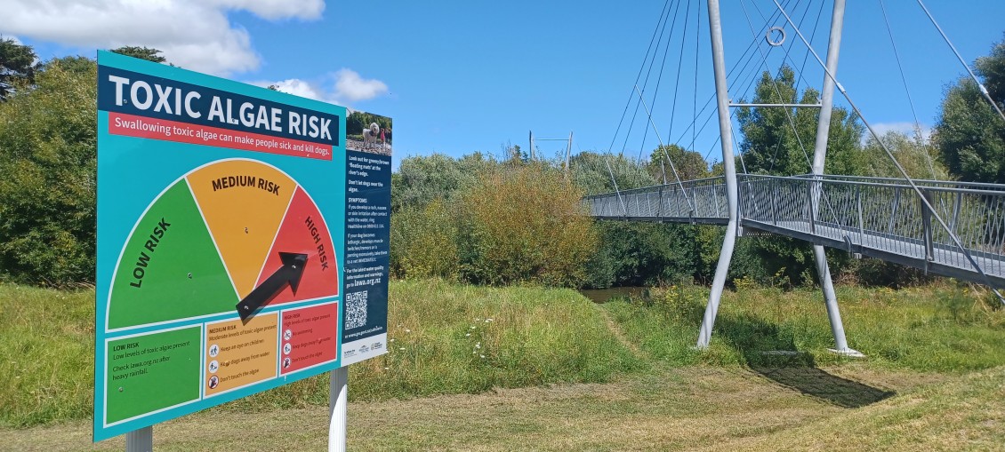 Toxic algae red alert at Jim Cooke Park v2