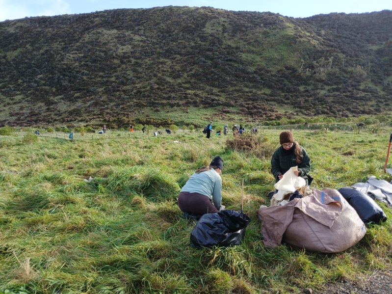 Volunteers in action at the Baring Head/Ōrua-pouanui planting day