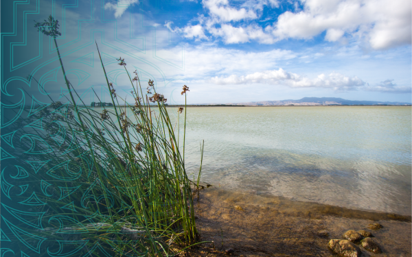 Wairarapa