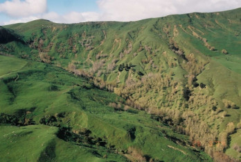 A grassy hillside with trees in sheltered areas